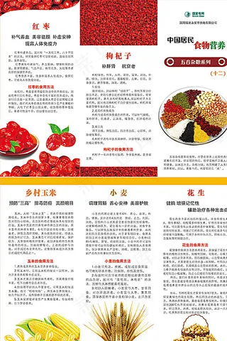 饮食三折页图片