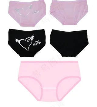 女士 精美内裤图片