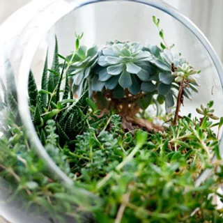 质感名胜风景旅游模板