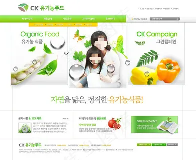 绿色健康食品商城网页psd模板