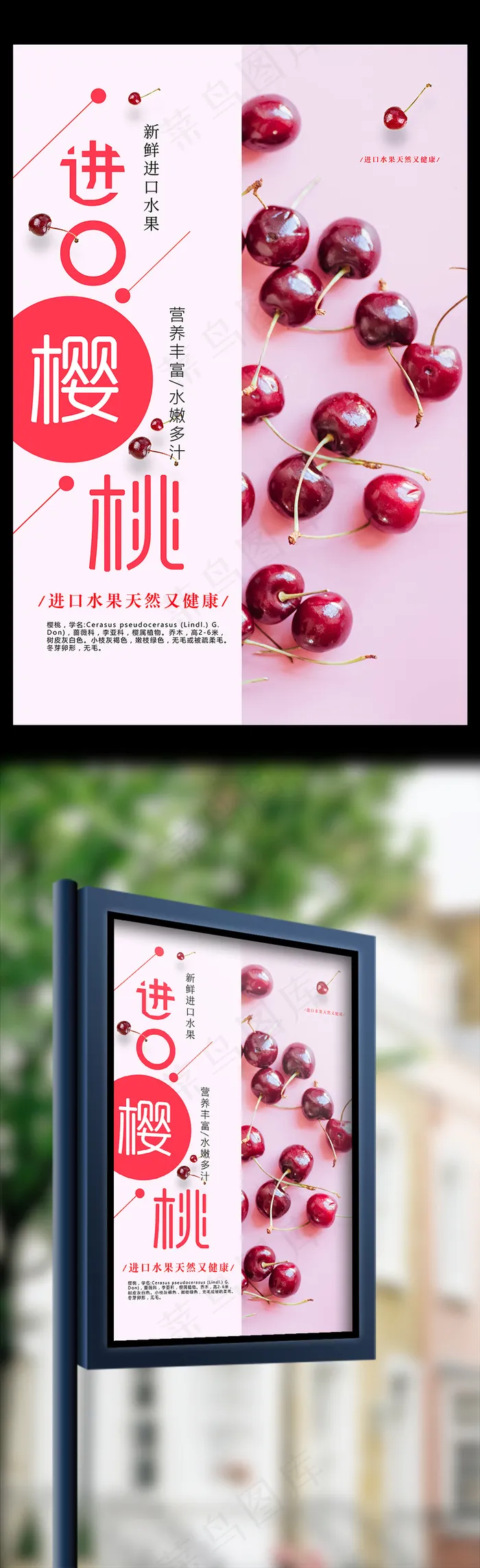进口樱桃水果美食海报(3543X5315(DPI:150))psd模版下载