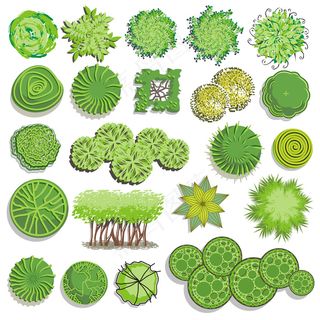 树木森林绿色绿色食品无污染新鲜绿色...