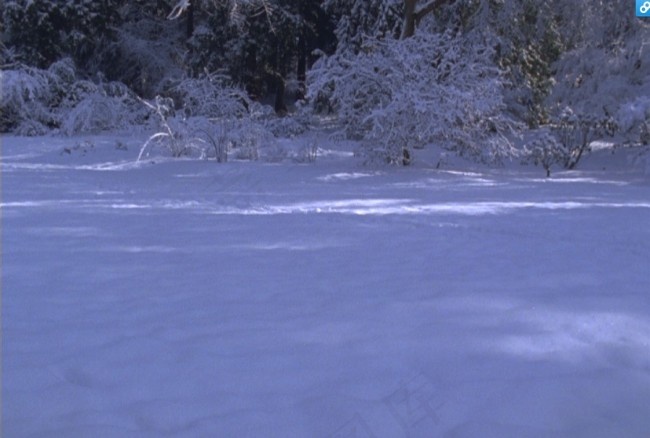 实拍雪地视频素材素材下载