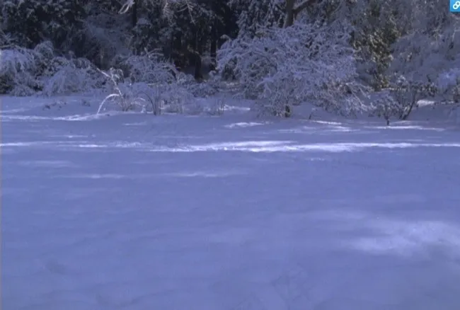 实拍雪地视频素材素材下载