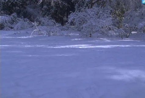 实拍雪地视频素材素材下载 实拍雪地视频素材素材下载