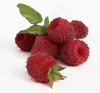 桑葚子三维模型图片