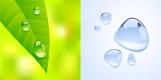 精美绿叶水珠矢量素材