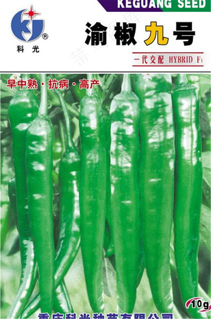 辣椒包装图片模板下载cdr矢量模版下载