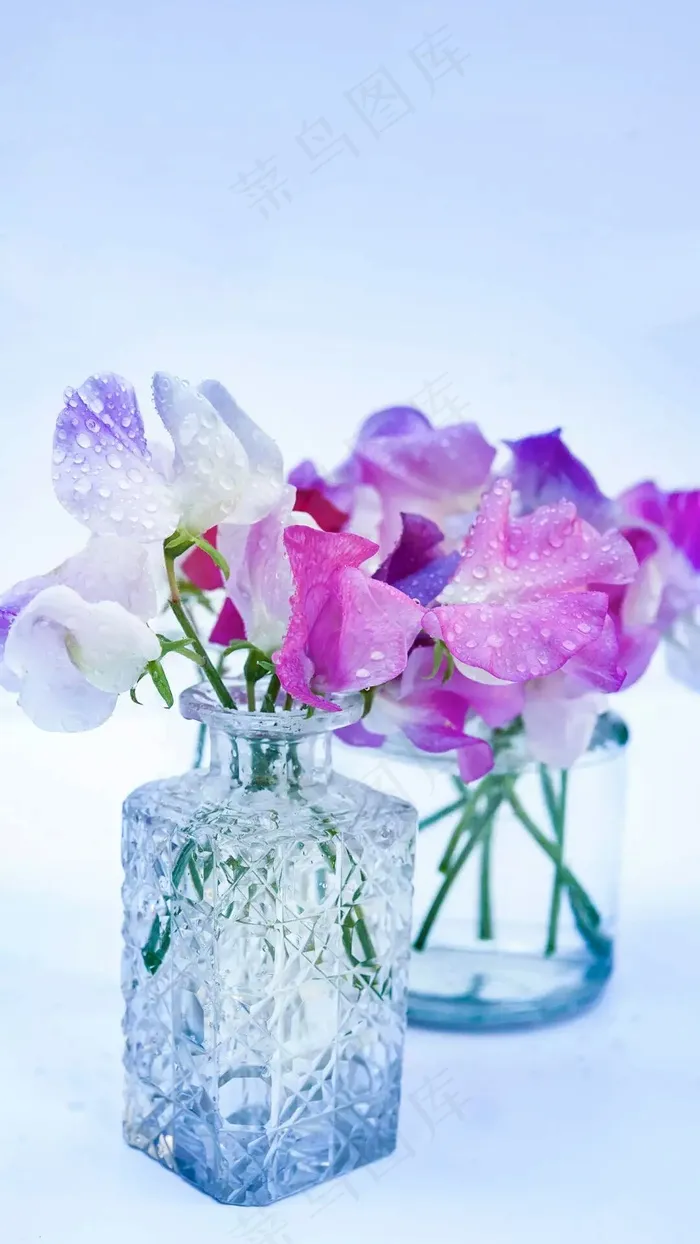 玻璃瓶装着的花高清摄影图片