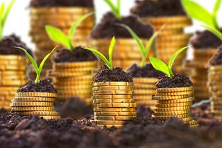 金币嫩芽小树苗孵化培育理财商务金融财富主题素材