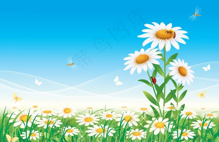 绿野鲜花蜻蜓 春天背景图片