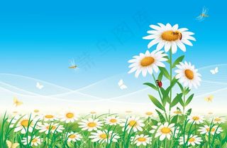 绿野鲜花蜻蜓 春天背景图片