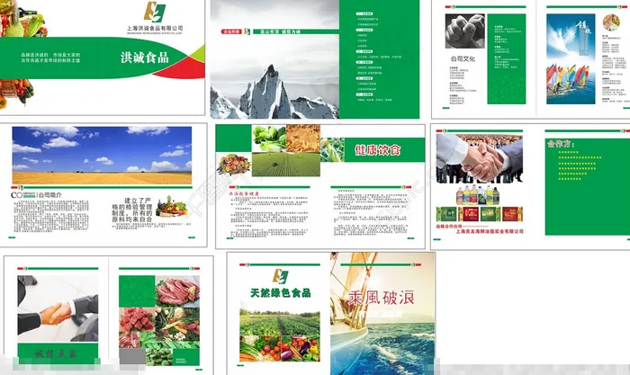 洪诚食品画册(346X206)cdr矢量模版下载