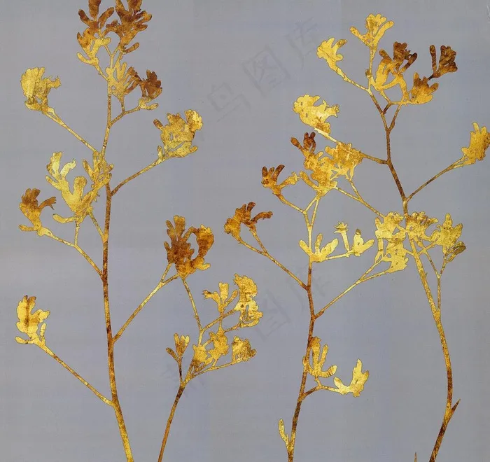 植物 无框画图片