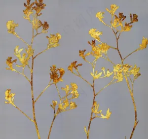 植物 无框画图片