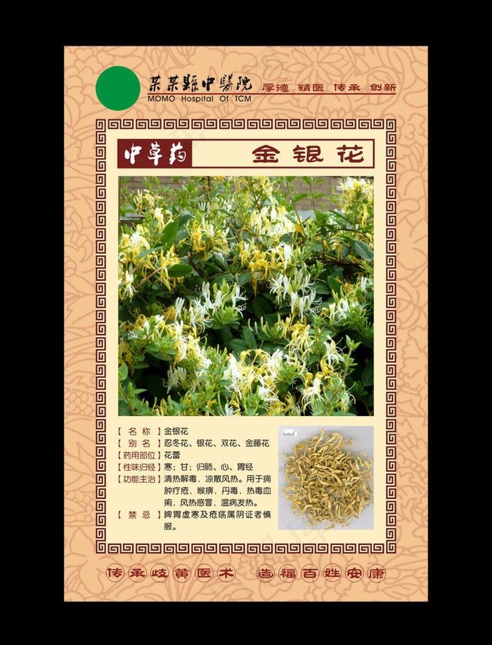 中草药 金银花图片cdr矢量模版下载