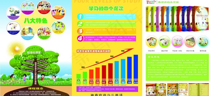 安迪三折页图片