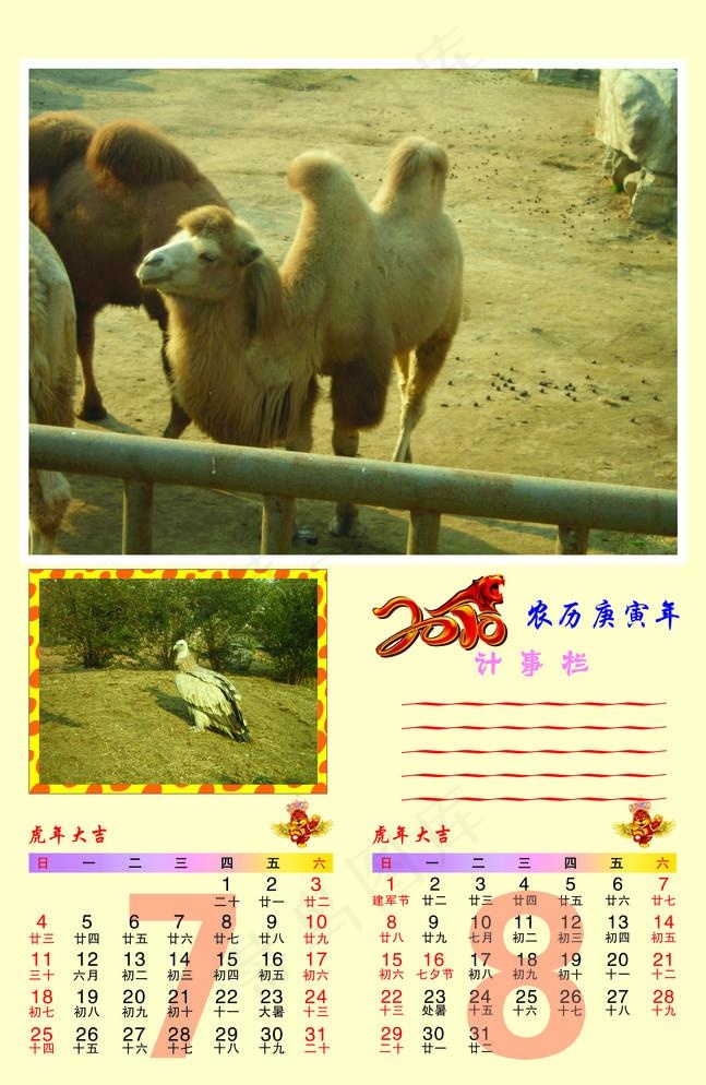 挂历七月 八月(4252X6732(DPI:300))psd模版下载