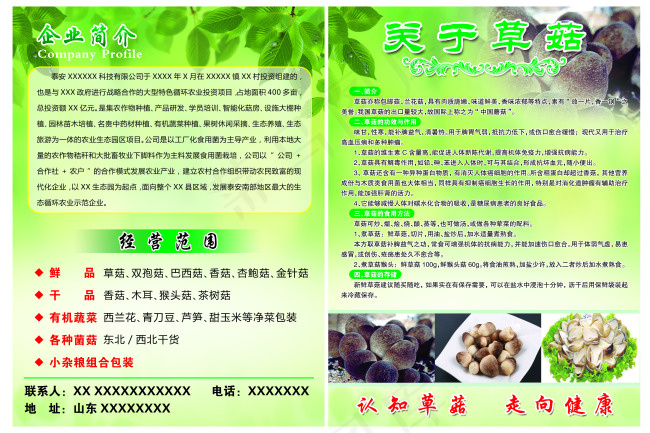草菇(2551X3437(DPI:300))psd模版下载