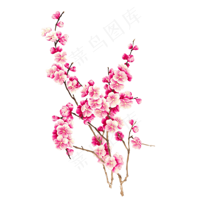 浪漫粉红色桃花梅花樱花花朵图片PN...(750X750)