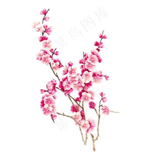 浪漫粉红色桃花梅花樱花花朵图片PN...