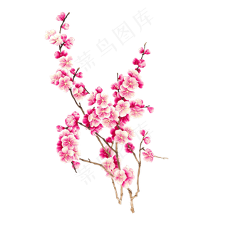 浪漫粉红色桃花梅花樱花花朵图片PN...
