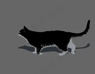 黑猫猫flash动画