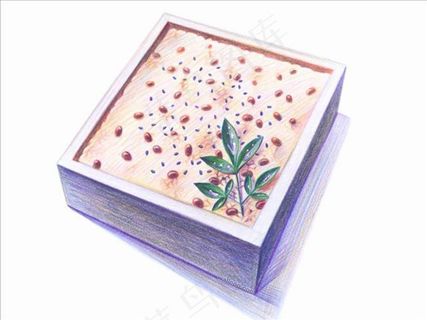 手绘日式点心料理