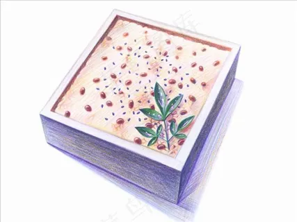 手绘日式点心料理