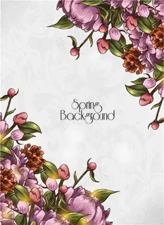 美丽花朵矢量背景素材图片