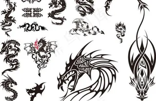 龙图腾矢量素材4