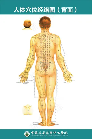 中医骨科人体穴位经络图