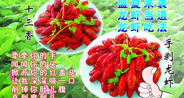龙虾图片
