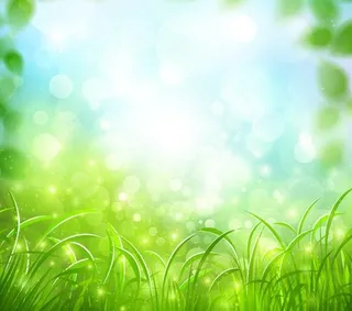 吸入性背景矢量绿草