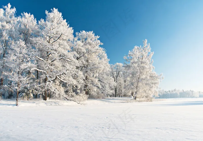 美丽冬天雪景图片