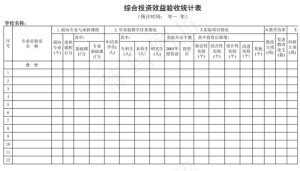 学校综合投资效益验收统计表