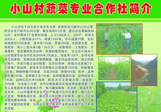 小山村蔬菜专业合作社简介图片