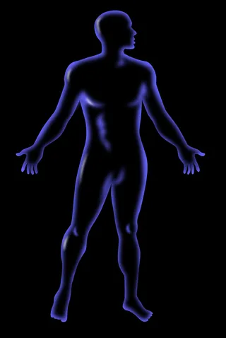 男性人体解剖站