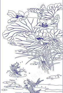 荷花鲤鱼图片 荷花鲤鱼图片