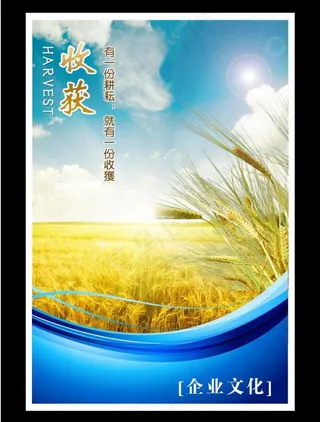 企业文化图片