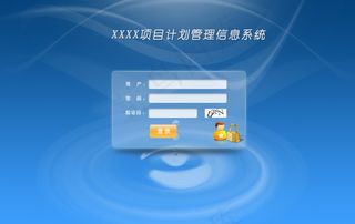 软件系统登录界面