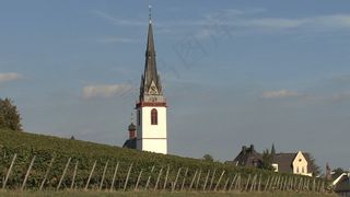 德国莱茵的教堂塔楼股票视频