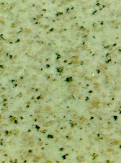 snake_eyes logo设计...