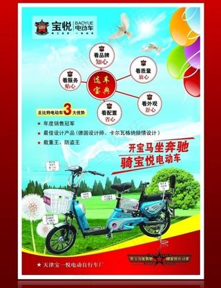 宝悦电动车图片