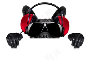 听音乐的狗图片