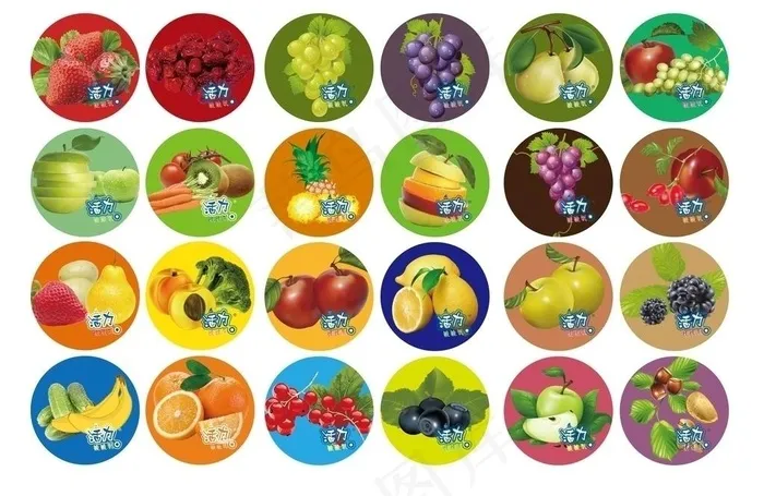 食品包装设计卡片图片ai矢量模版下载