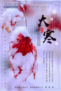 简约清新二十四节气之大寒节日海报