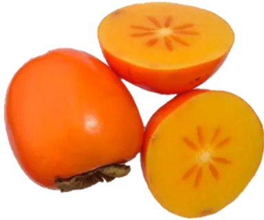 水果柿子海报PNG设计元素