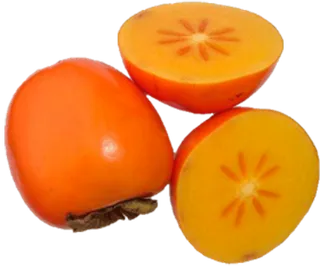 水果柿子海报PNG设计元素