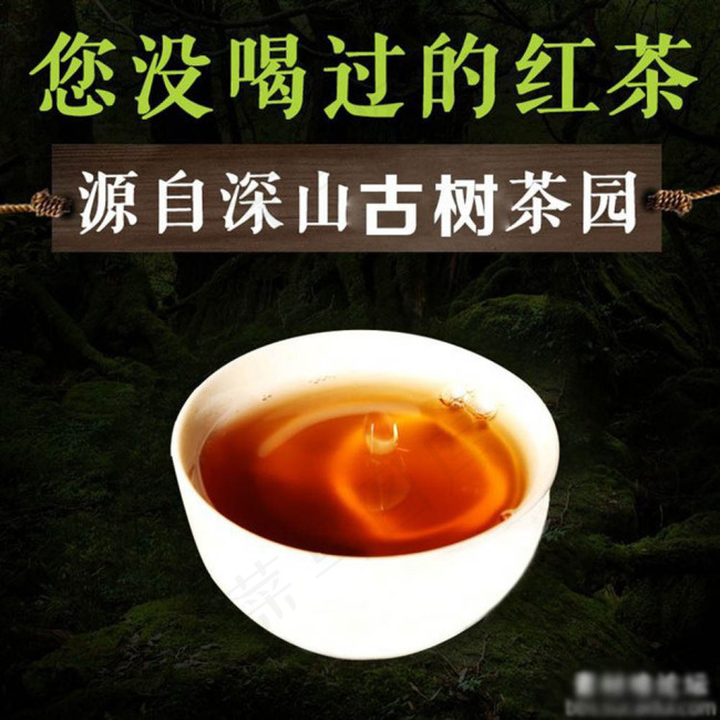 茶叶直通车红茶psd模版下载